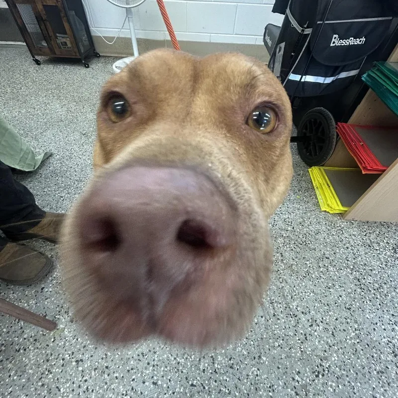 Lola thumbnail 3