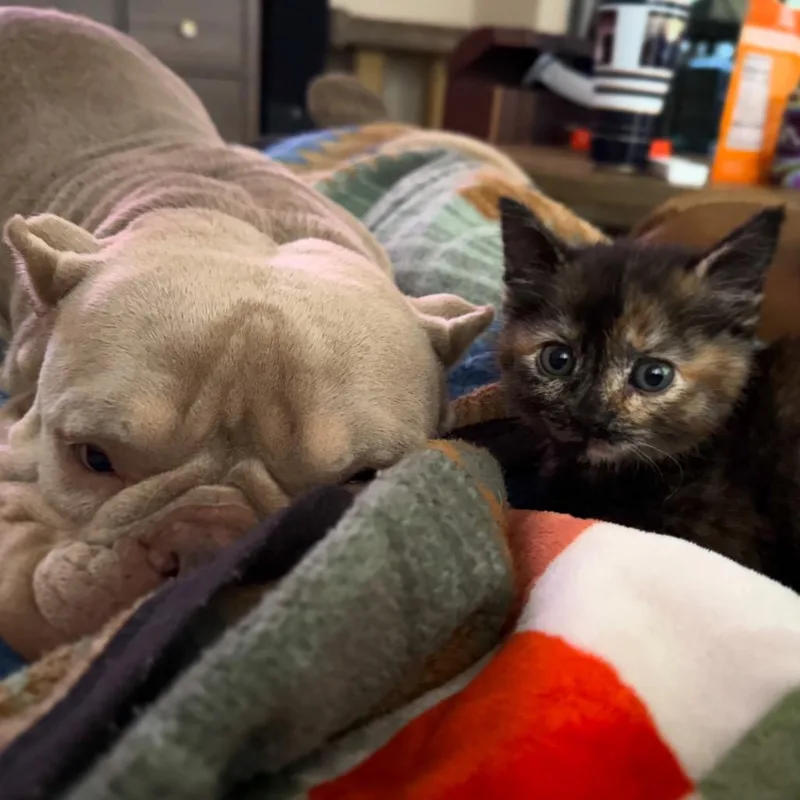 Linda Piper Rooter thumbnail 4