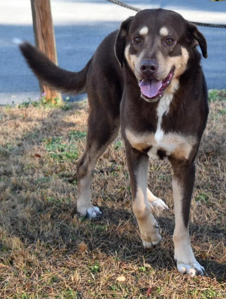 Highway Man thumbnail 2