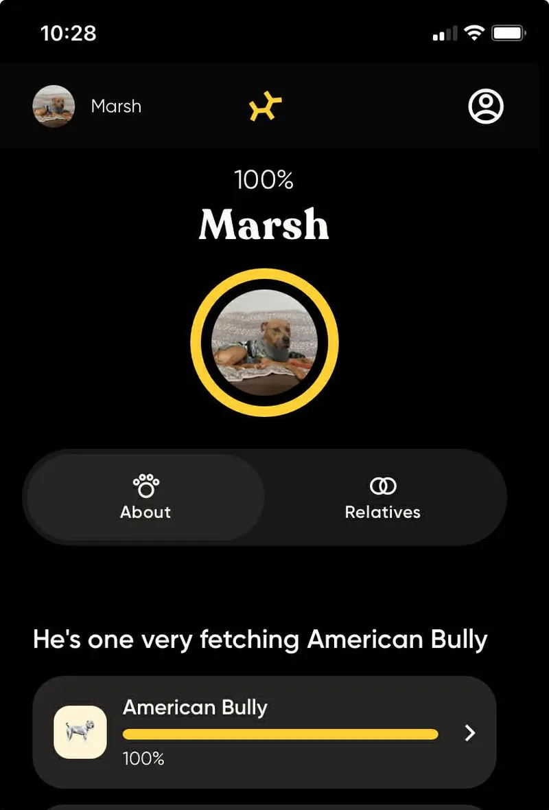Marsh
