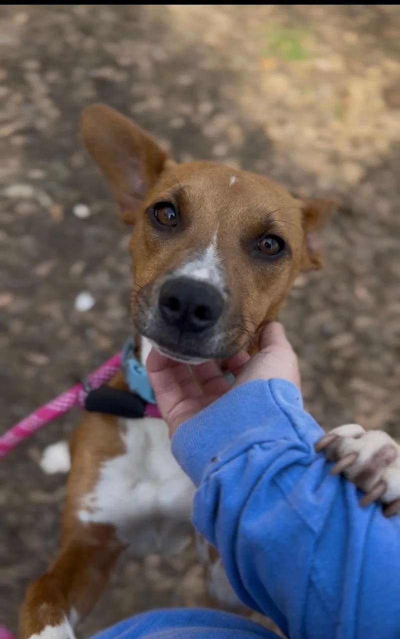 Treasure thumbnail 2