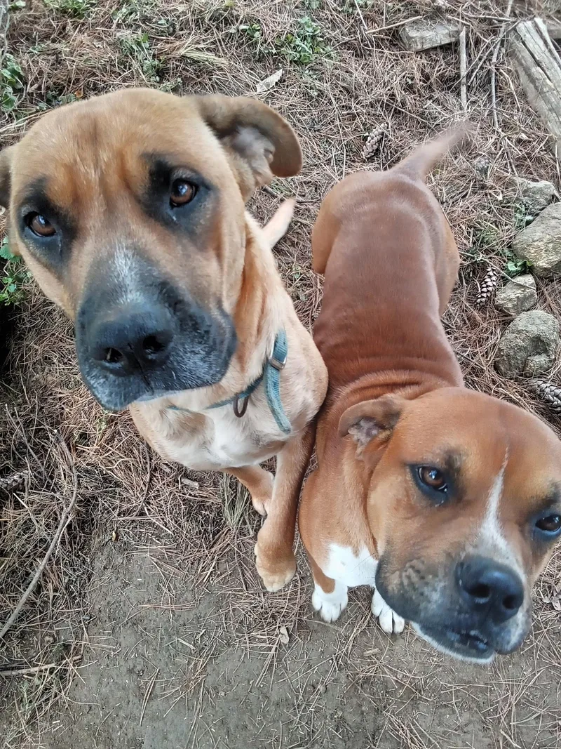 Nova & Loki