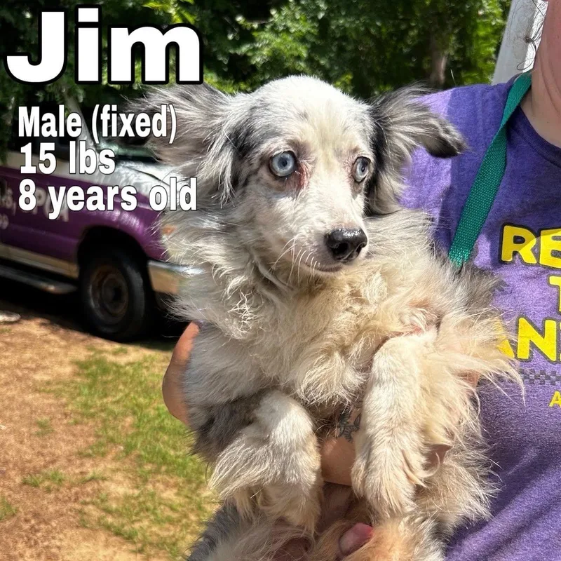 Jim