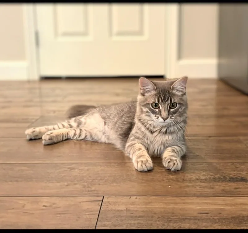 Winnie & Wilfie thumbnail 3