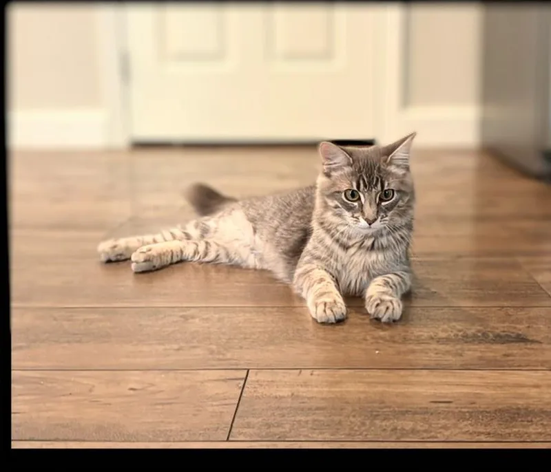 Winnie & Wilfie thumbnail 5