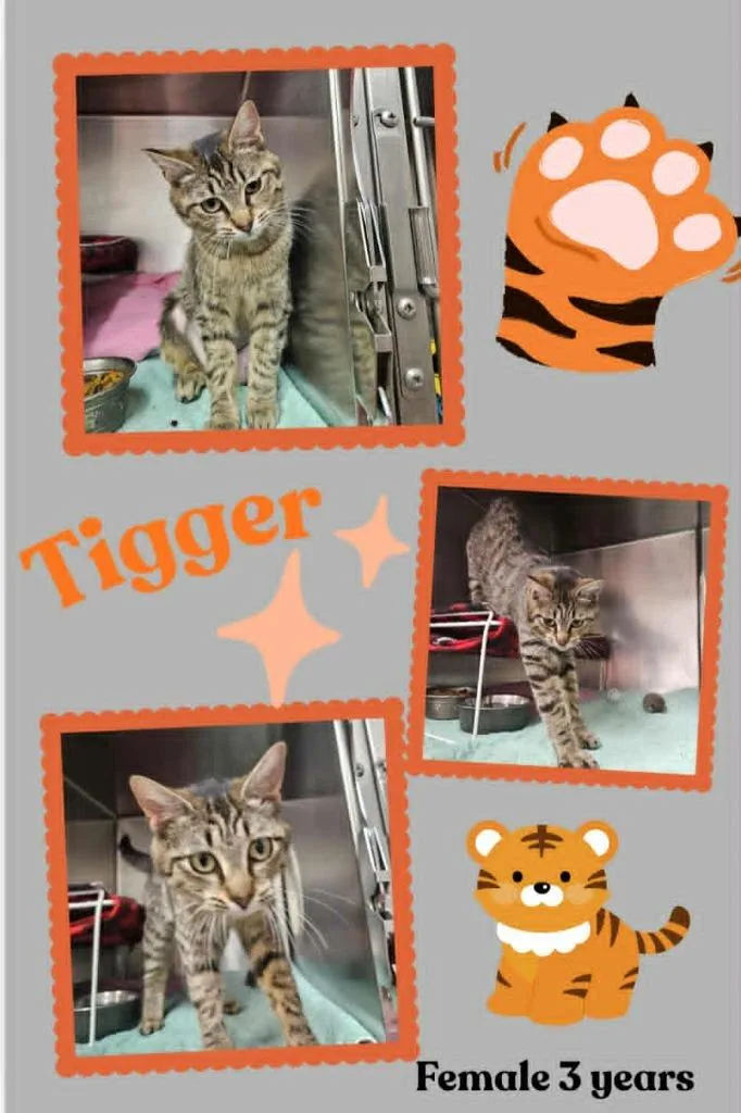 Tigger