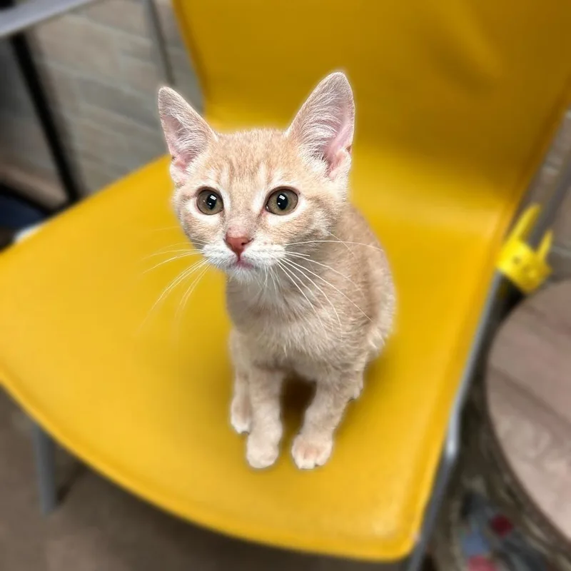 We Sell Bread