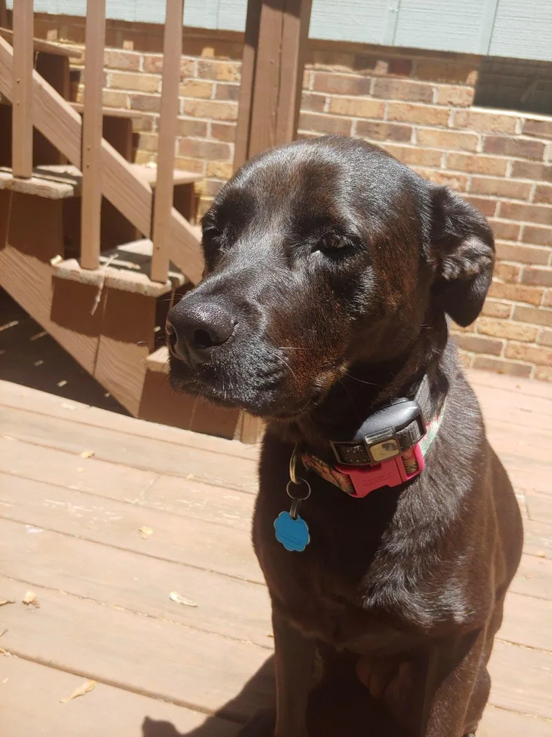 Coco