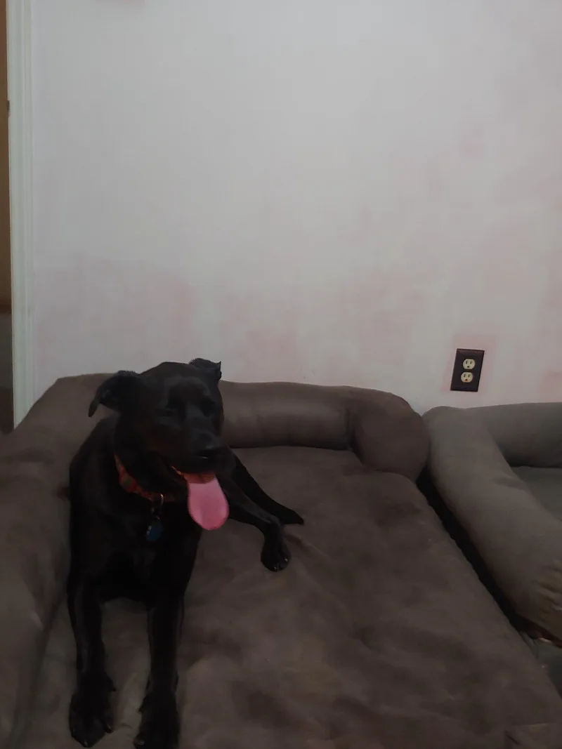 Coco thumbnail 3