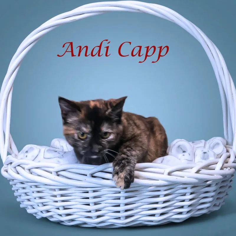 Andi Capp C thumbnail 2