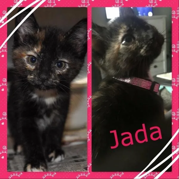 Jada thumbnail 4