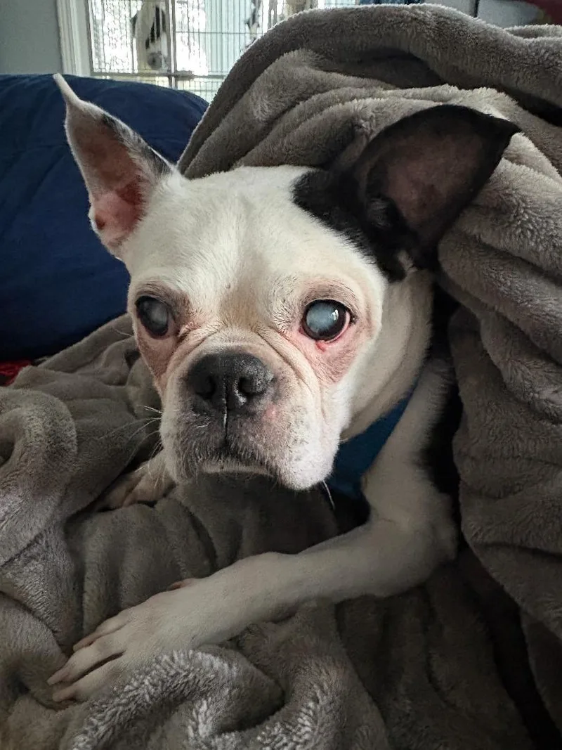 Zoie In Ks thumbnail 2