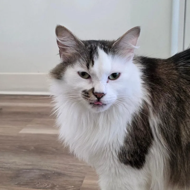 Ernie thumbnail 6