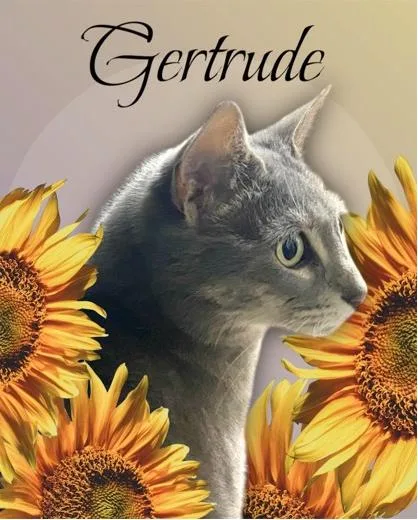 Gertrude thumbnail 3