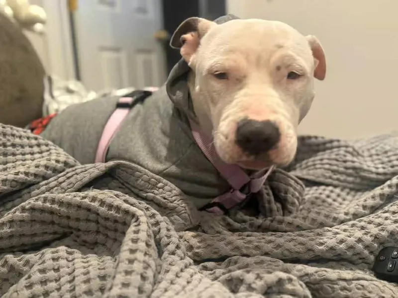 Hopeducky thumbnail 2