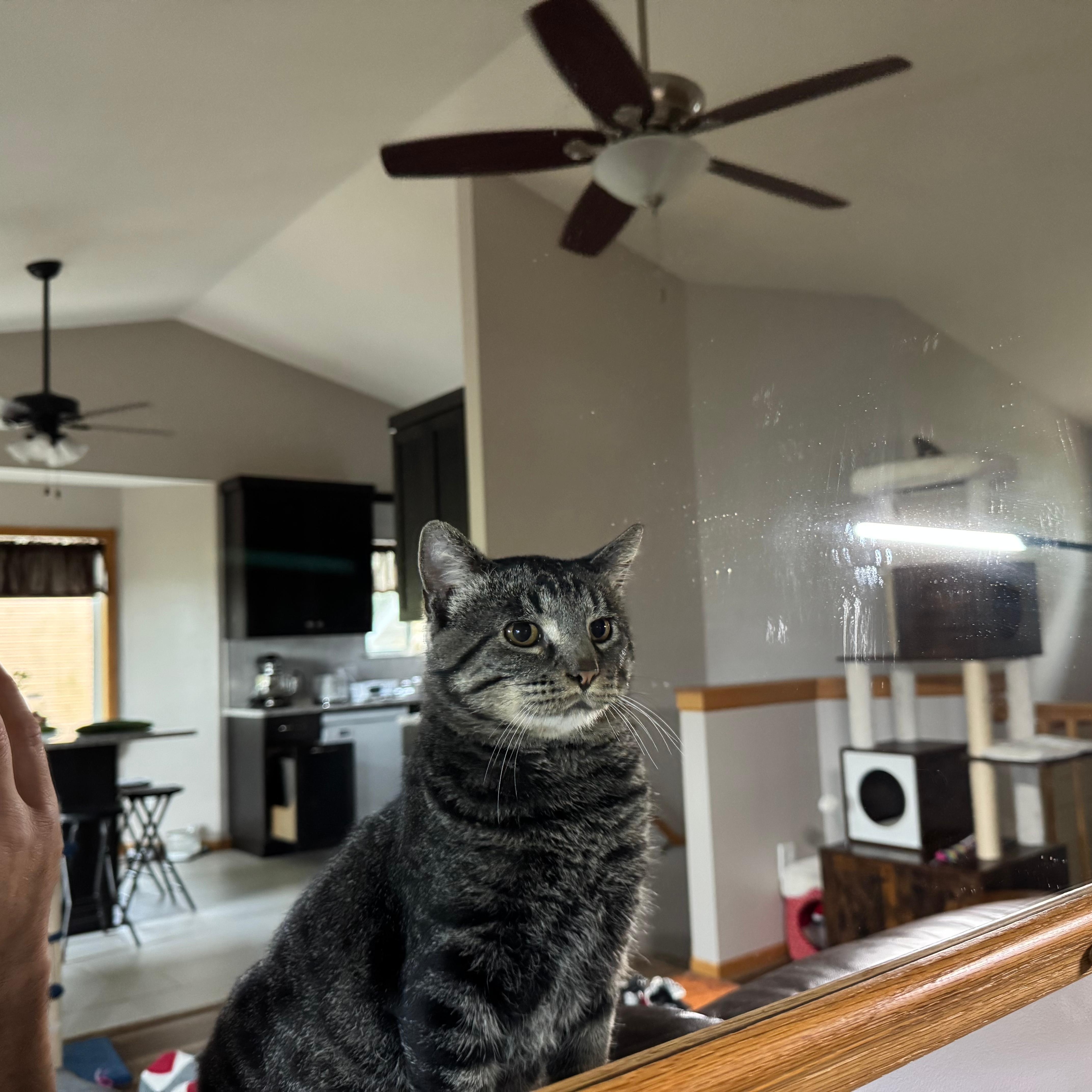 Benny Boy thumbnail 3