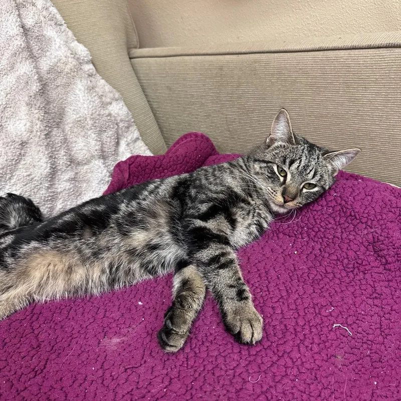 Tobias W Manfred thumbnail 2