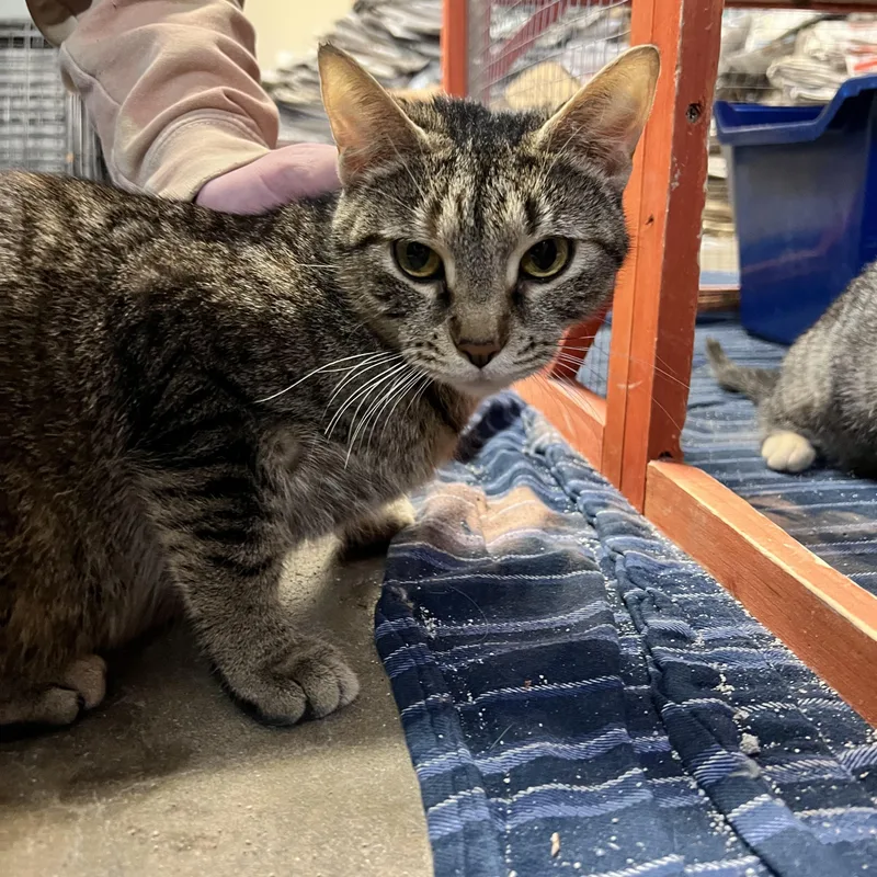 Momma Rosemay thumbnail 2