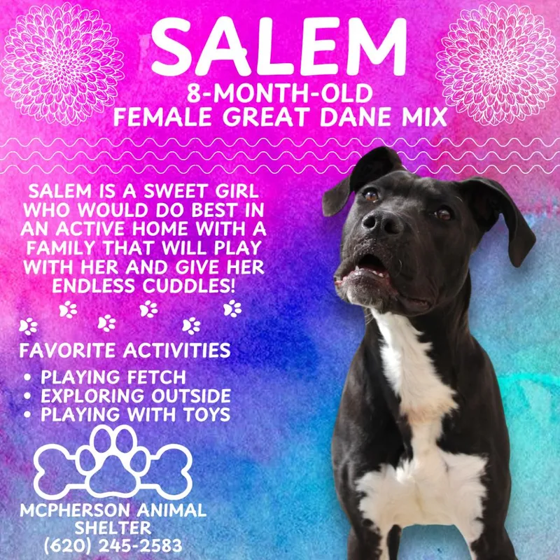 Salem thumbnail 5