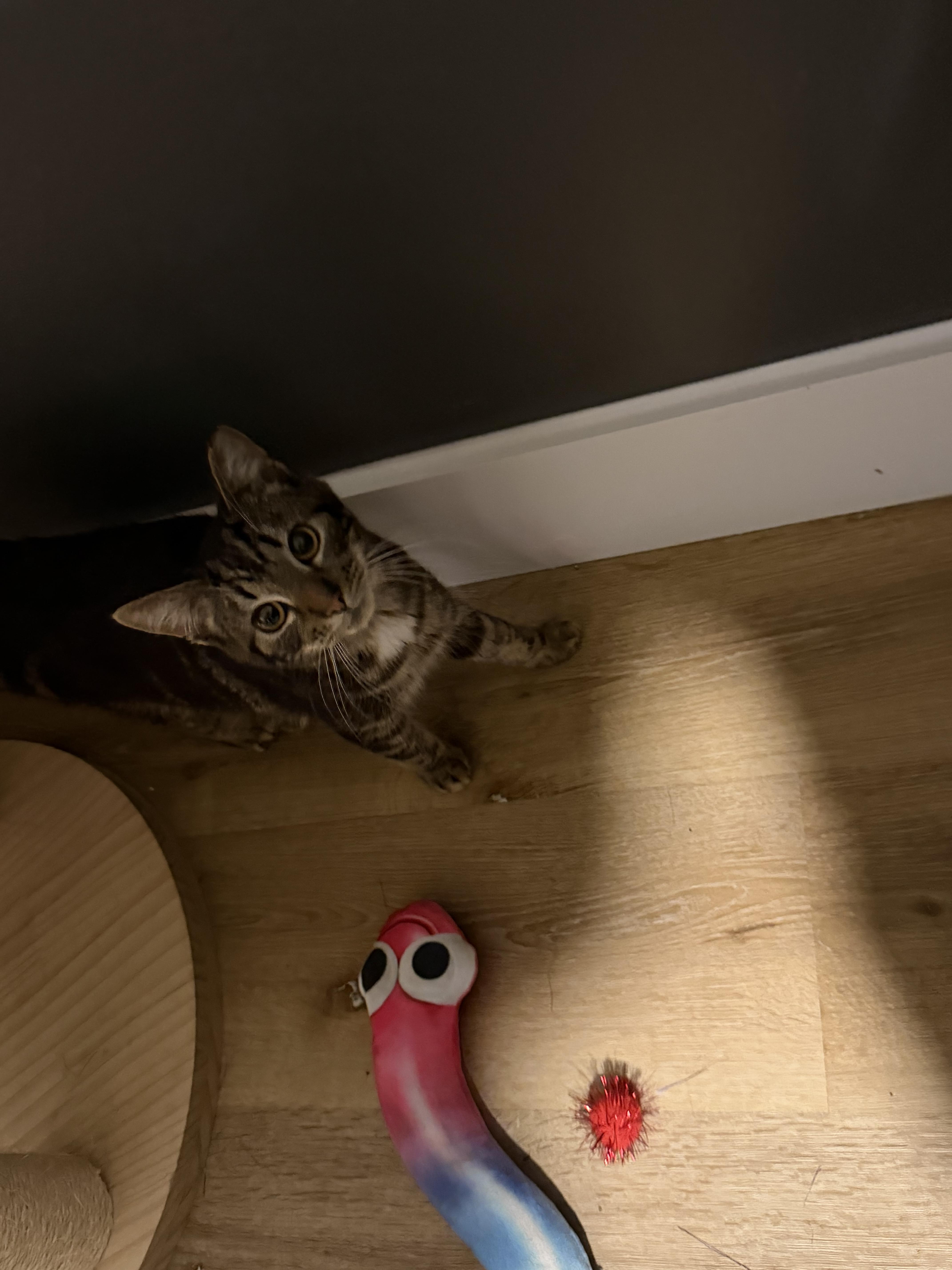 Silly Sam thumbnail 4