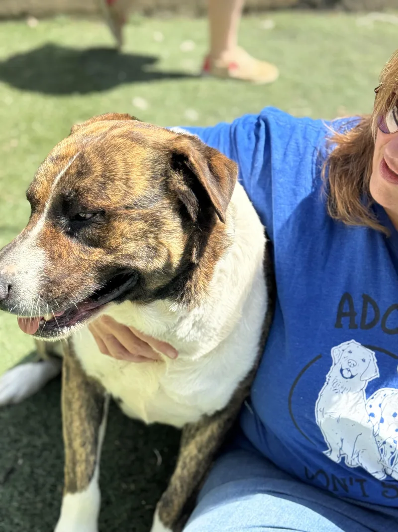 Maverick thumbnail 3