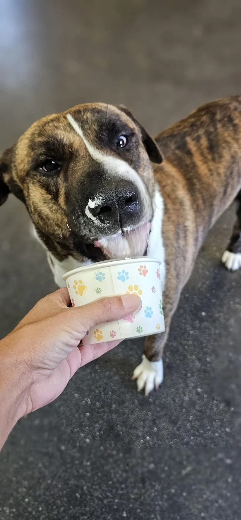 Maverick thumbnail 6