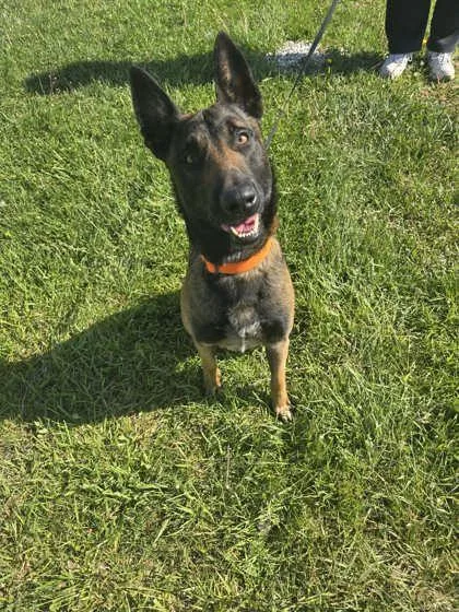 Gunner
