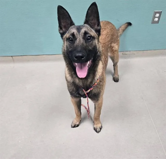 Darth Malinois thumbnail 3