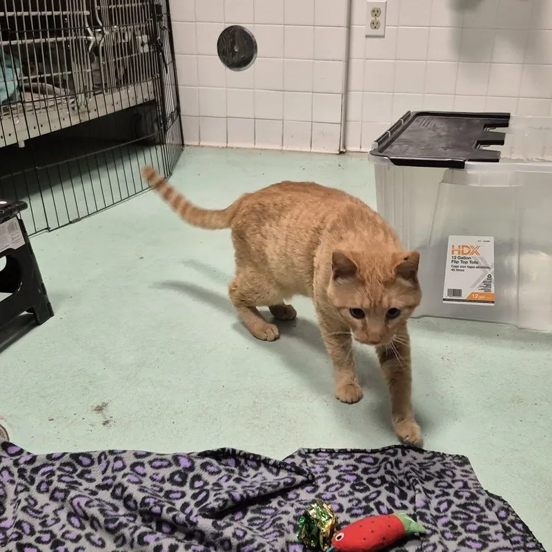 Breakfast thumbnail 3