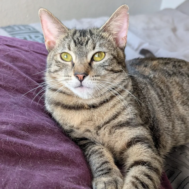 Little One thumbnail 2