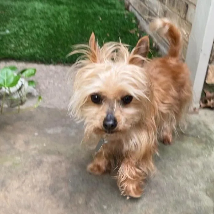 Max Jones thumbnail 2