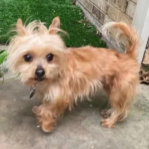 Max Jones thumbnail 3