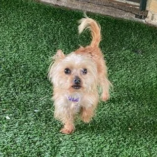 Max Jones thumbnail 4