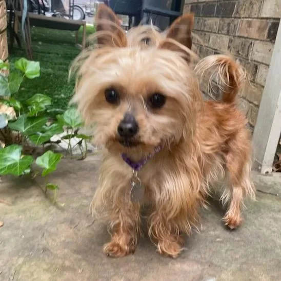 Max Jones thumbnail 5