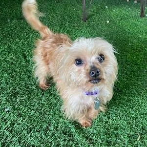 Max Jones thumbnail 6