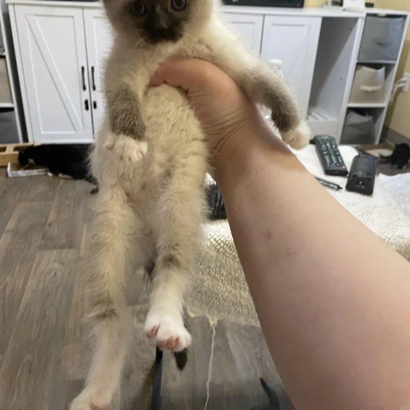 Legolas Bonded With Mama