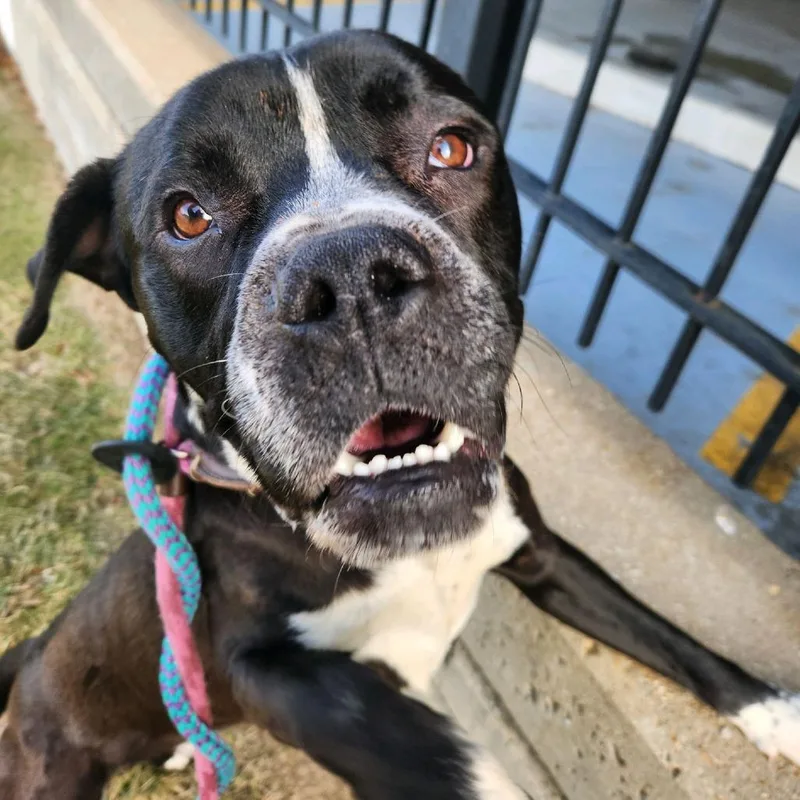 Jelly Jar thumbnail 3