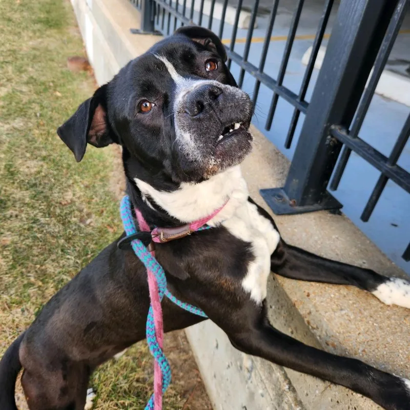 Jelly Jar thumbnail 4