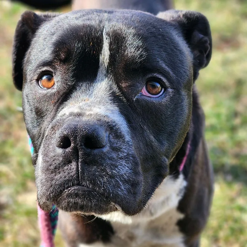 Jelly Jar thumbnail 5