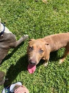 Charlotte thumbnail 3