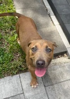 Charlotte thumbnail 4