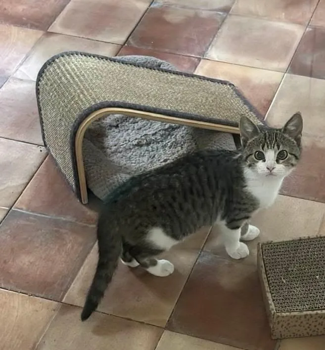 Courtney thumbnail 3