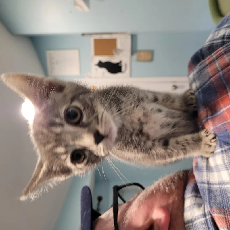 Delilah thumbnail 2