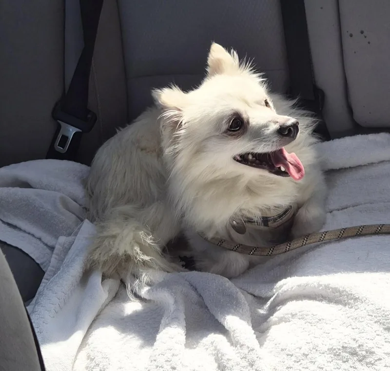 Josephine "joey" thumbnail 2