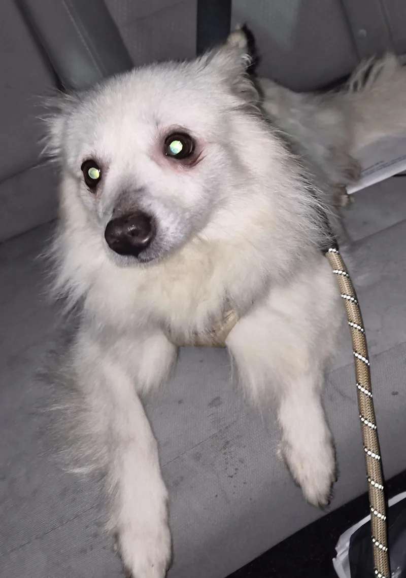 Josephine "joey" thumbnail 3