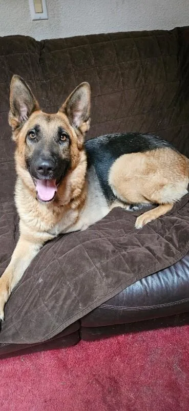 Phoenix Von Hope thumbnail 2