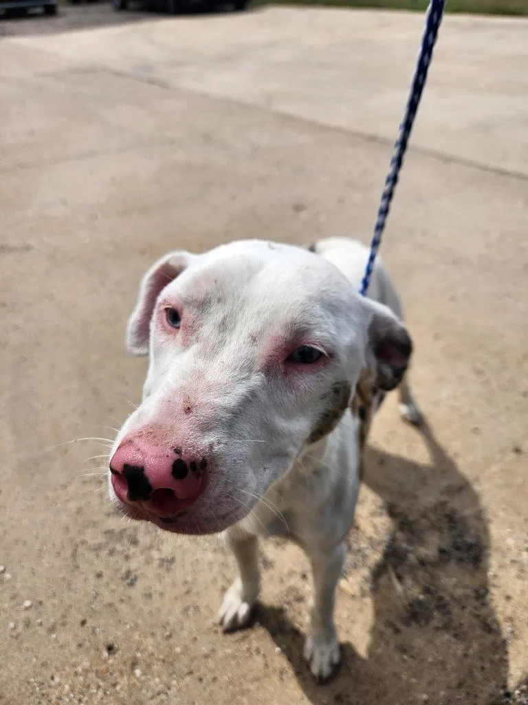 Parker