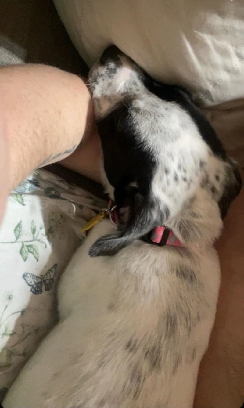 Molly thumbnail 3