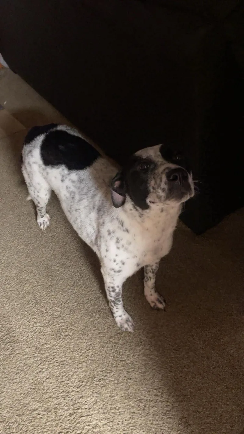 Molly thumbnail 5