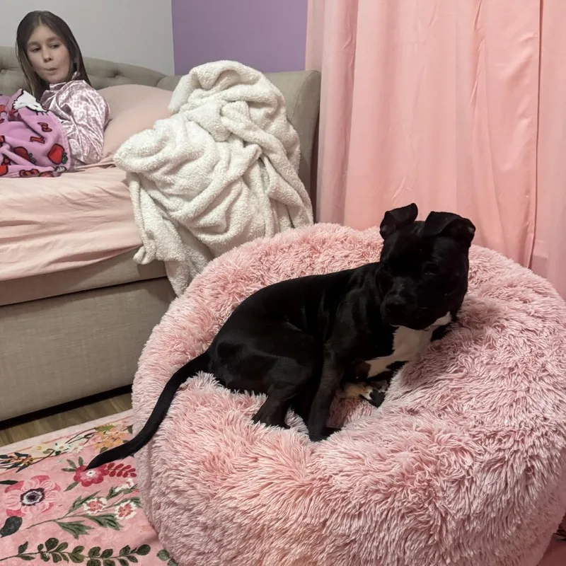 Mimi thumbnail 3